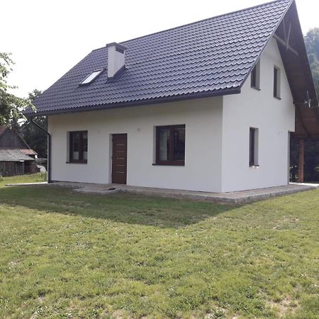 Apartament pod lipką Lutowiska Zewnętrze zdjęcie