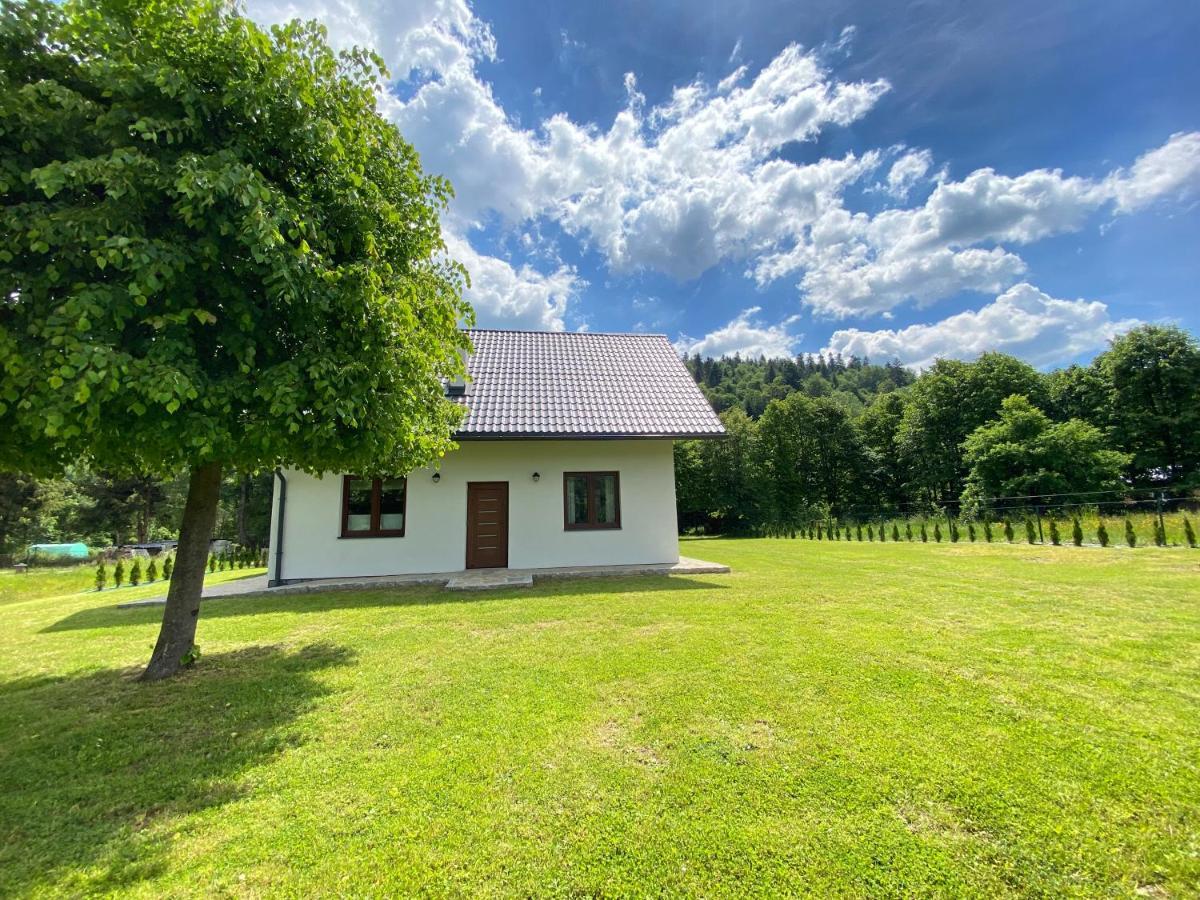 Apartament pod lipką Lutowiska Zewnętrze zdjęcie